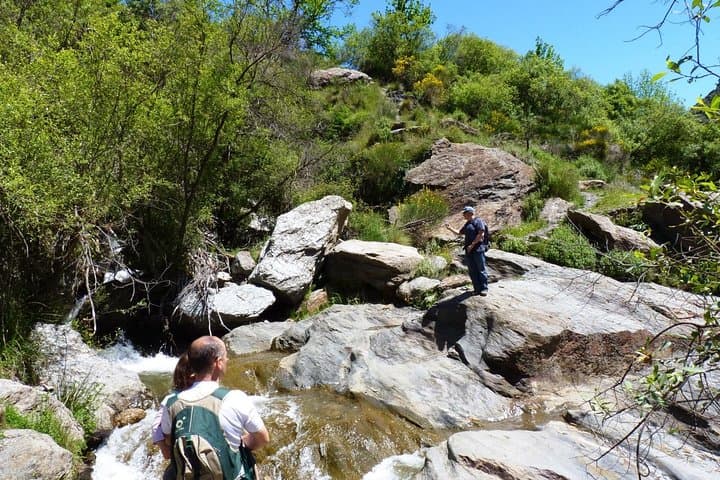 Sierra Nevada Day Trip from Málaga: High-Alpine Lakes, Snowfields & Forests photo 5