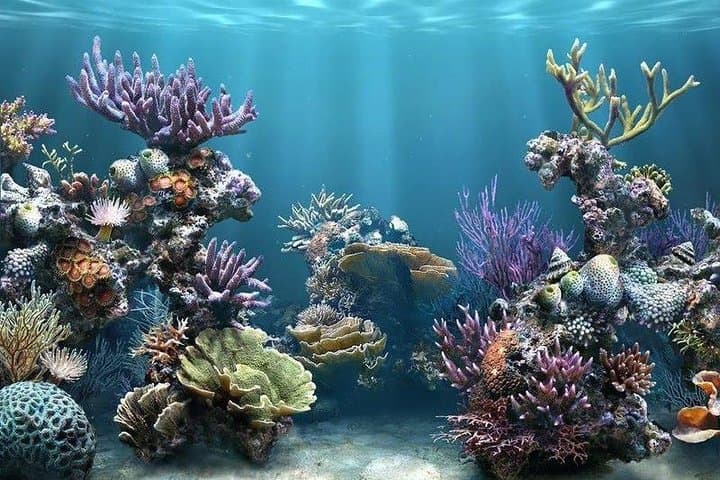 Hurghada Red Sea Fun Cruise: Snorkel Reefs and Search for Dolphins photo 2