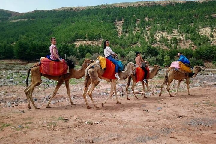 Atlas Mountains Day Trip from Marrakech: Three Valleys, Waterfalls & Camel Ride photo 4
