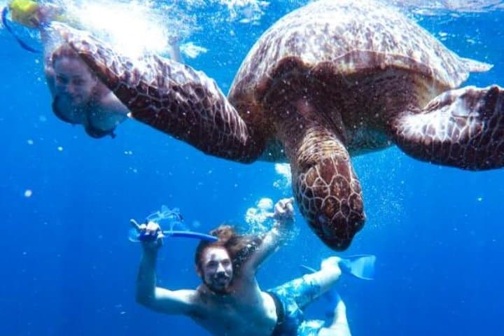 One-Day Gili Islands Snorkel: Turtles, Statues & Coral from Bali photo 3