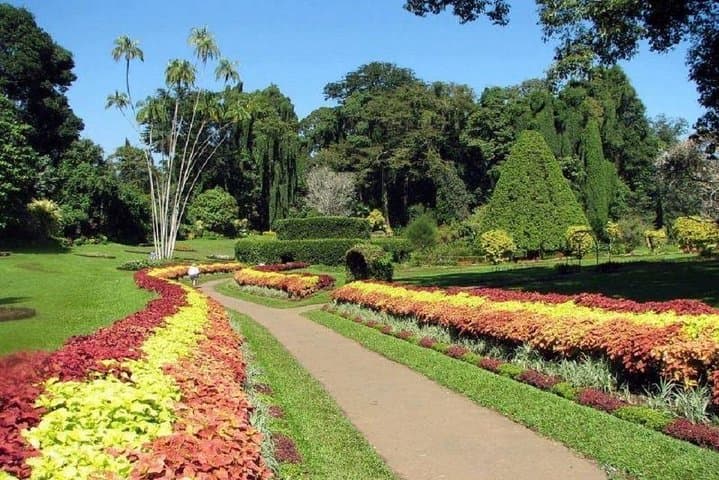 Aswan Private Nile Sunset Cruise & Kitchener Botanical Garden Visit photo 3