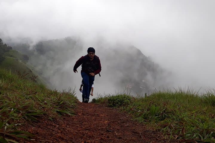 Half-Day Trekking in Munnar: Tea Plantation & Grassland Hike photo 4