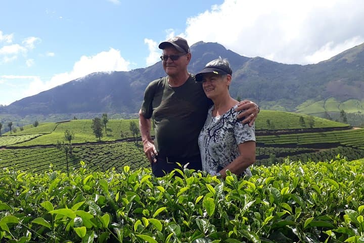 Munnar Tea Cultivation Programme: Guided Tea Farm Experience in the Western Ghats photo 2