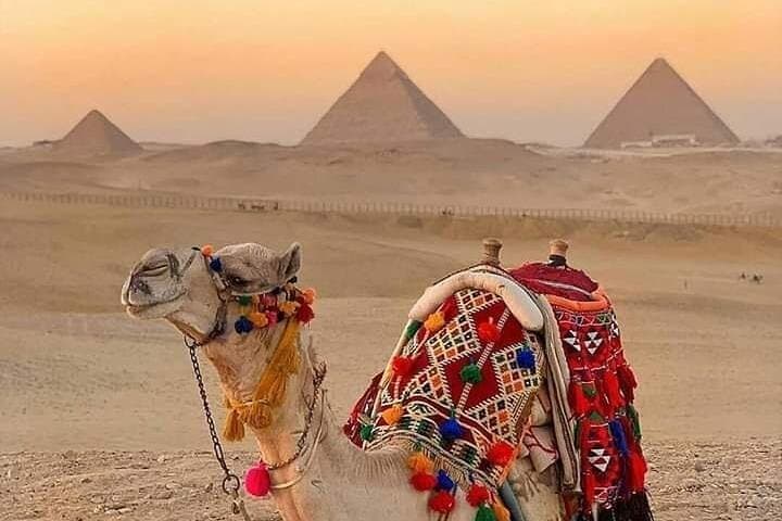 Giza Pyramids Camel Ride and Desert BBQ at Sunset photo 5