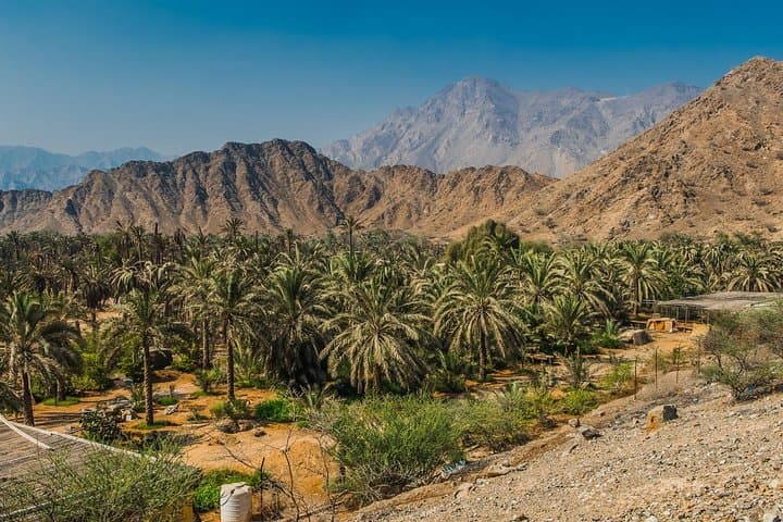 Hatta Kayak and Heritage Day Trip from Dubai photo 4