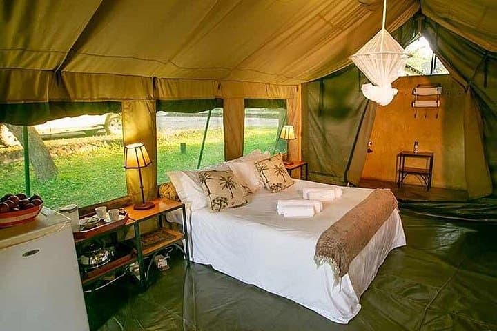 4-Day Victoria Falls Adventure: Restcamp Stay, Chobe Safari & Zambezi Cruise