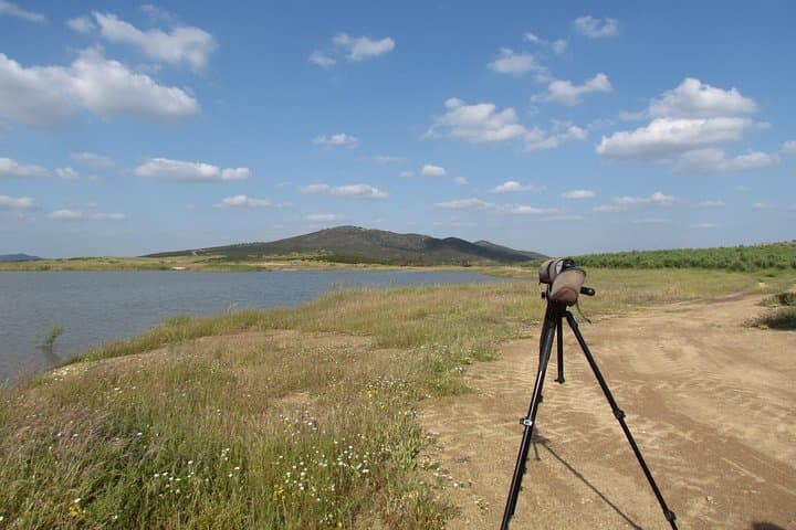 Algarve Birdwatching Week: Ria de Alvor to Castro Verde Wildlife Tour photo 3