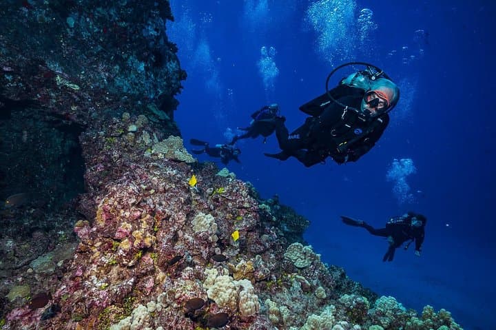 Lanai Cathedrals: 2-Tank Boat Dive from Maui into Lava-Formed Caverns photo 5