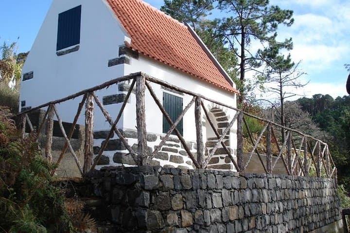 Madeira Levada Prazeres to Raposeira — Private Guided Levada Walk photo 4