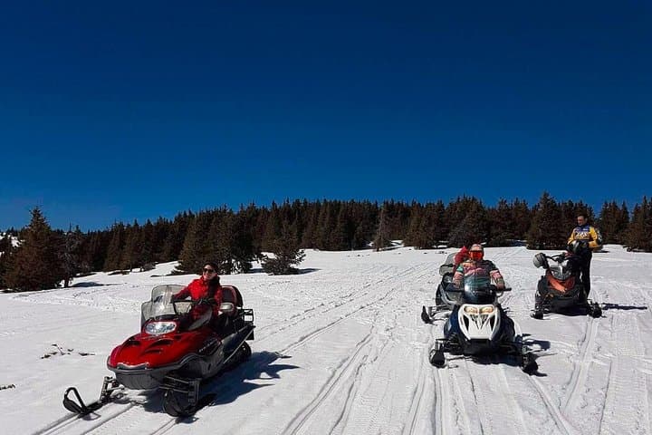 Borovets Ultimate Snowmobile Experience: 1-Hour Rila Forest Ride photo 3