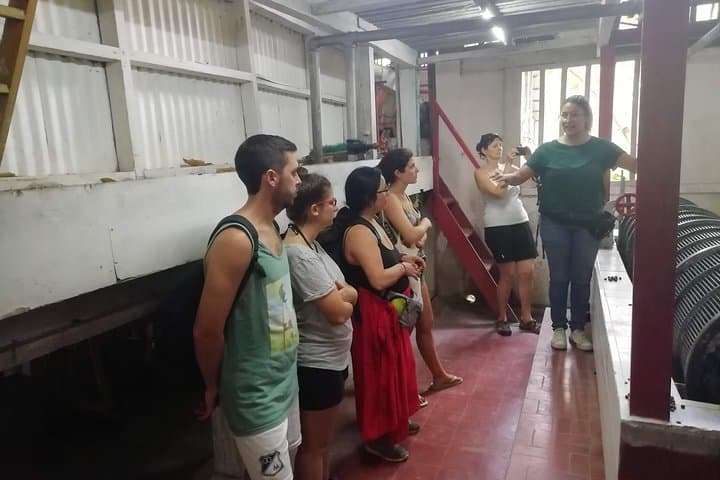 Minca La Victoria Coffee Tour: Waterfalls, Farm History & Sierra Nevada Views photo 6