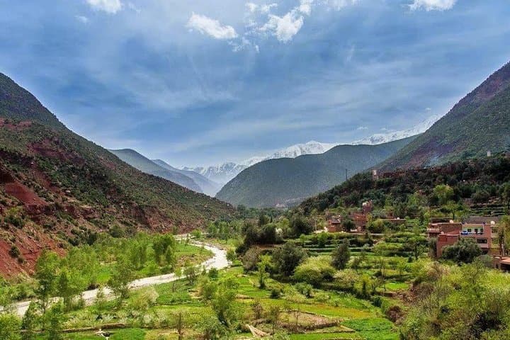 Ouzoud Waterfalls Day Trip from Marrakech: Cascades d'Ouzoud Guide