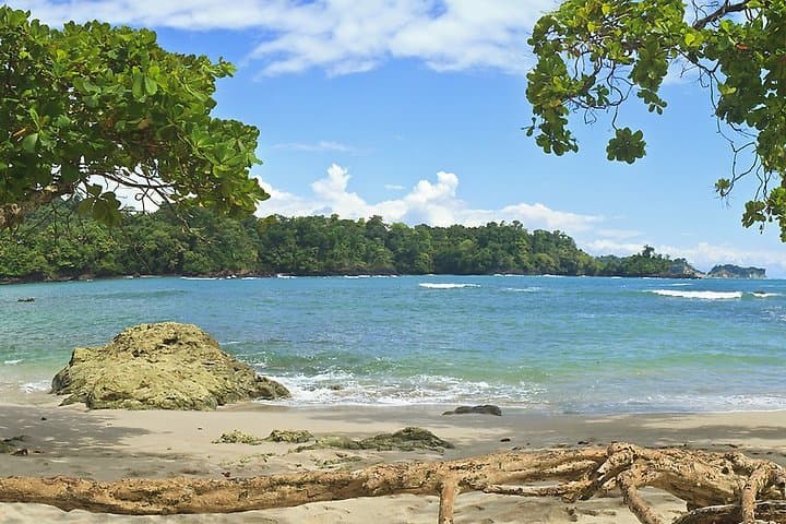 Manuel Antonio Day Trip from San Jose — Beaches, Monkeys & Rainforest Trails photo 3