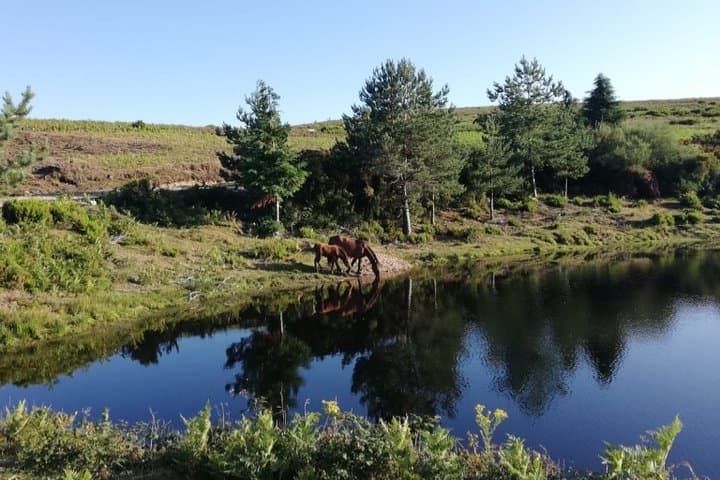 4x4 Off‑Road Adventure in Peneda‑Gerês National Park: Soajo, Isolated Pools & Mountain Plates photo 4