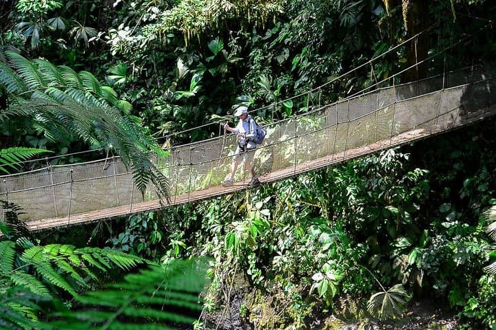 Rainmaker Waterfalls & Hanging Bridges Day Trip from Manuel Antonio
