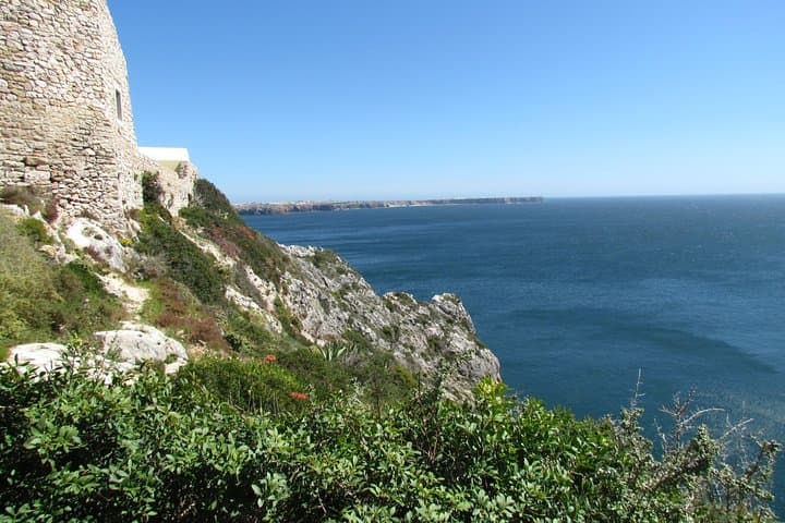 Sagres birdwatching day — coastal migration watch on the Algarve peninsula photo 3