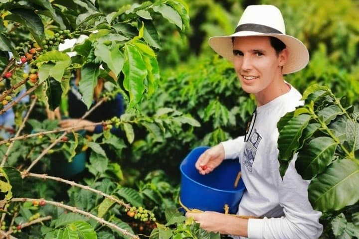 Full-Day Coffee Farm Visit and Jardin Walking Tour from Medellin photo 4