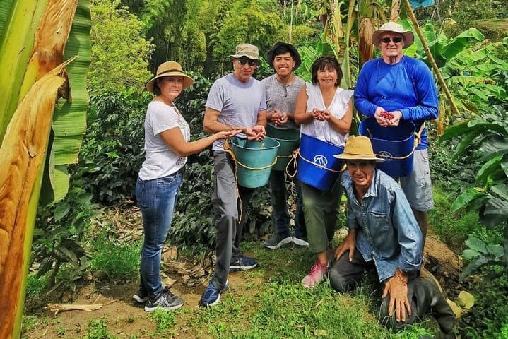 Full-Day Coffee Farm Visit and Jardin Walking Tour from Medellin photo 3