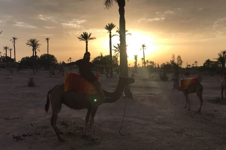 Marrakech Palm Grove Camel Ride & Mint Tea Break at Sunset photo 4