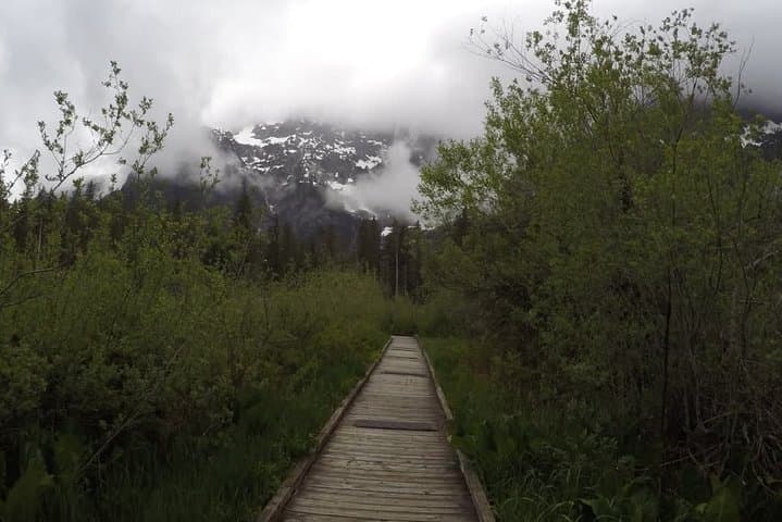 Private Nature Tour & Guided Hike from Seattle — Full-Day Custom Trails photo 4