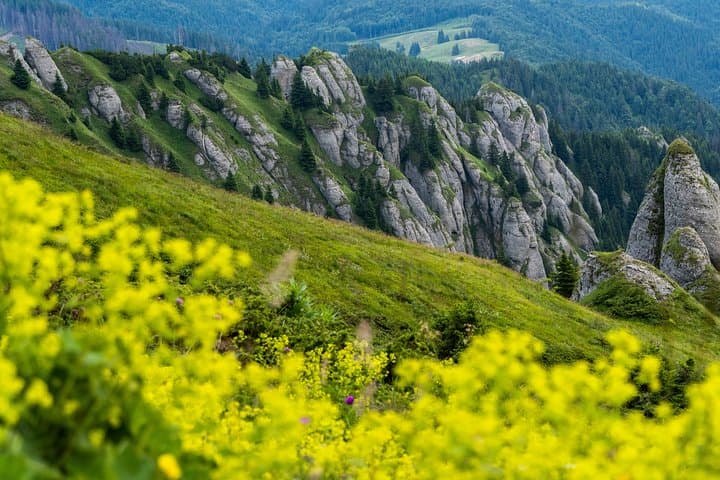 Ciucas Mountain Day Hike: Ridge Trails, Rock Formations & Rhododendron Blooms photo 3