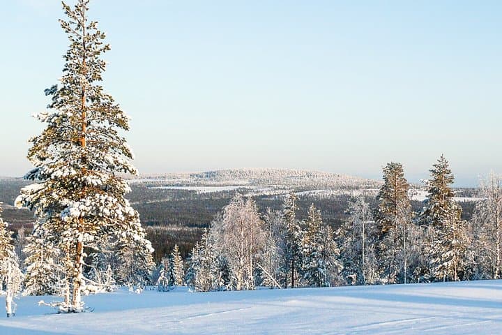 Explore Katkavaara: Arctic Snowmobile Safari Across Finland’s Frozen Wilderness photo 4