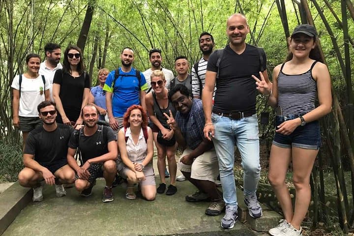 Chengdu Panda Base and Leshan Giant Buddha: Private Full-Day Experience