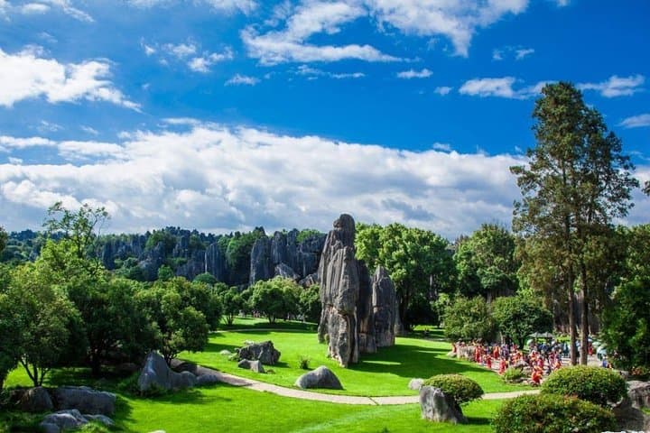 Half-Day Private Tour to Stone Forest (Shilin) from Kunming photo 6