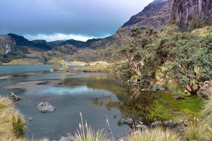 Private Cajas National Park Full-Day Tour from Cuenca photo 6