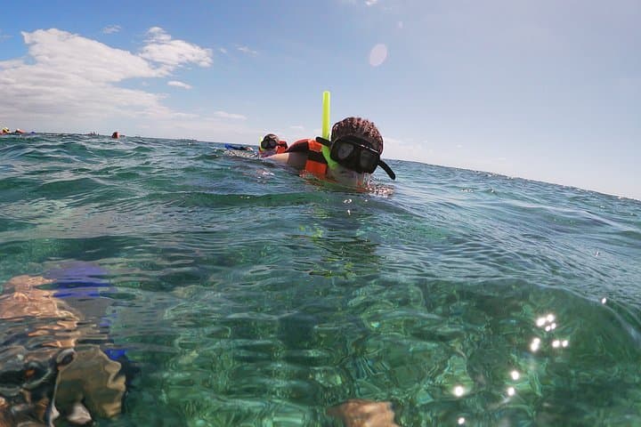 Snorkel Puerto Morelos: Guided Reef Tour to the Mesoamerican Barrier photo 3