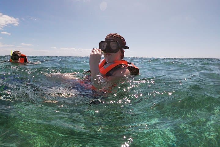 Snorkel Puerto Morelos: Guided Reef Tour to the Mesoamerican Barrier photo 4