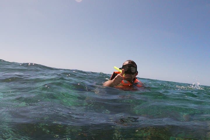 Snorkel Puerto Morelos: Guided Reef Tour to the Mesoamerican Barrier photo 5