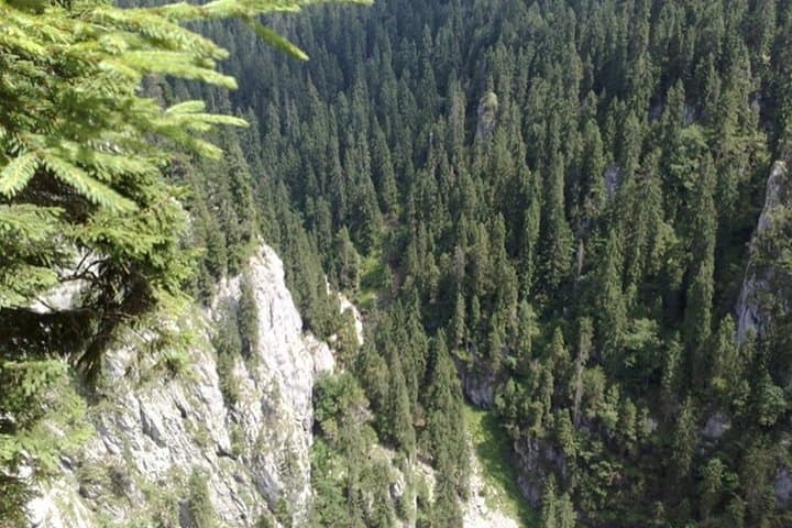 Explore Ponor Fortress: Romania's Largest Karst Cave Day Tour from Oradea photo 6