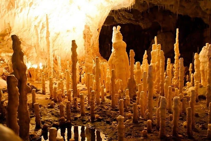 Explore Romania's Bear's Cave: One-Day Minivan Tour from Oradea photo 5