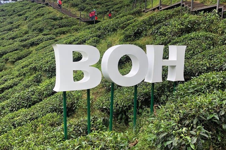 4-Day Cameron Highlands & Penang Tour from Kuala Lumpur — Tea Plantations, Hill Air and George Town Culture photo 5