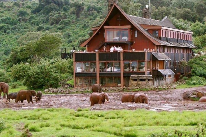 Aberdares 2-Day Private Safari: Night Game Viewing at The Ark & Treetops