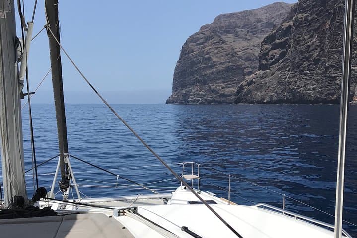 Tenerife 3-Hour Whale Watching Catamaran: Pilot Whales & Dolphins photo 4