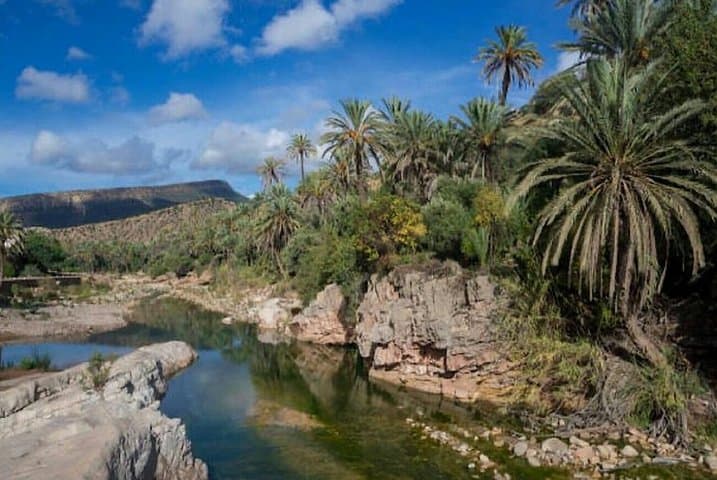 Paradise Valley Day Trip from Agadir: Hike, Natural Pools & Berber Breakfast photo 4
