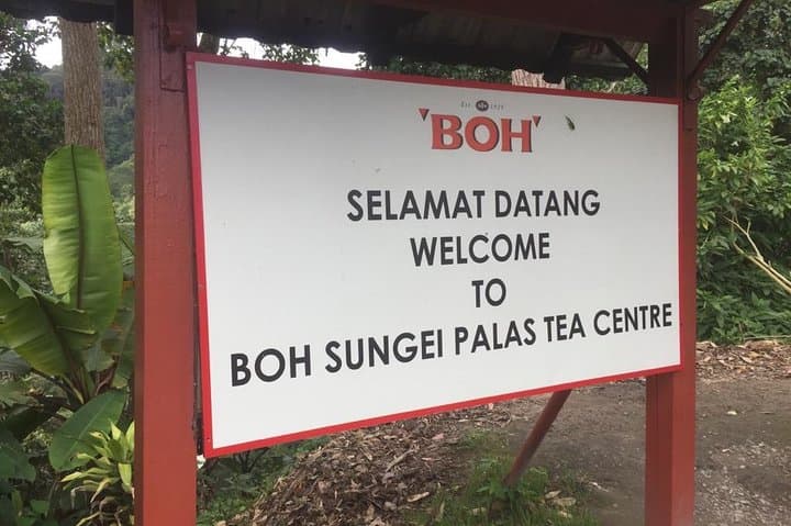 4-Day Cameron Highlands & Penang Tour from Kuala Lumpur — Tea Plantations, Hill Air and George Town Culture photo 6