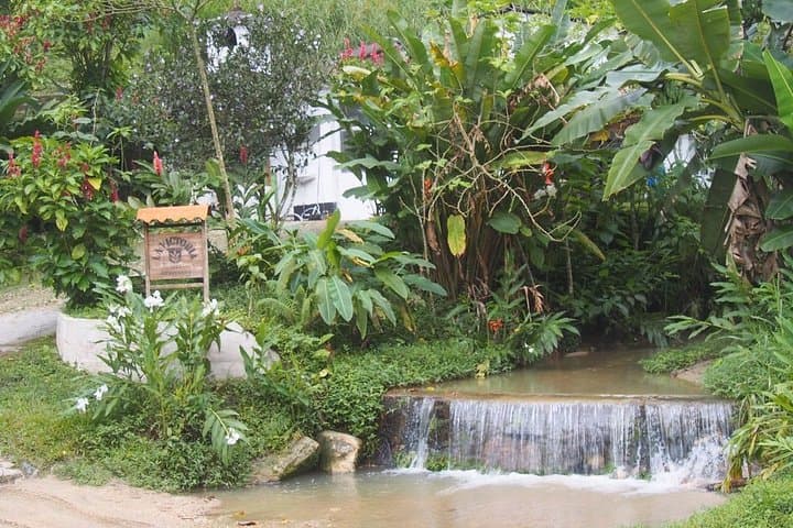 Minca Waterfalls & Coffee Farm Day Trip from Santa Marta — Hike, Swim, Taste photo 4