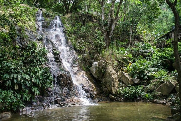 Minca Waterfalls & Coffee Farm Day Trip from Santa Marta — Hike, Swim, Taste photo 3