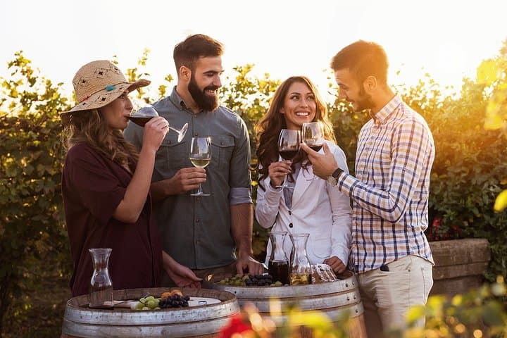 Hunter Valley Private Wine Tour from Sydney — Cellars, Cheese & Chocolate