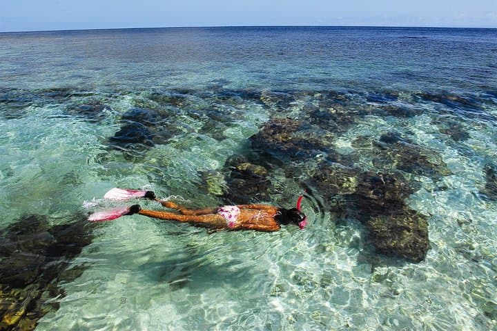 West Bay Bananarama Day Pass & Reef Snorkel — Roatan Beach Excursion photo 6
