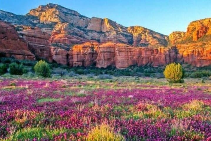 Grand Experience First Class Railroad Excursion from Flagstaff to the Grand Canyon photo 6