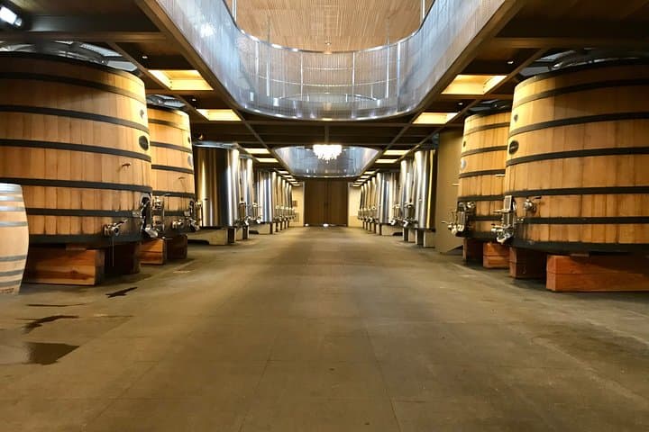 Saint-Emilion 2CV Wine Tour and Lunch from Bordeaux — Classic Car Vineyard Escape photo 3