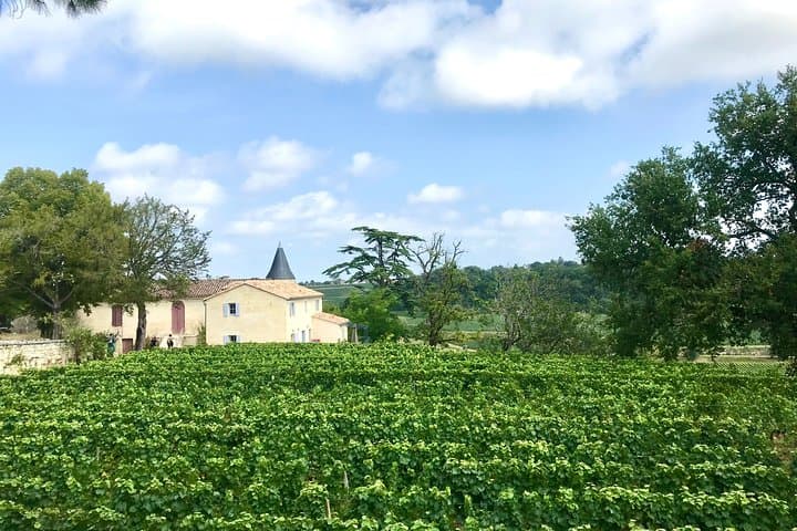 Saint-Emilion 2CV Wine Tour and Lunch from Bordeaux — Classic Car Vineyard Escape photo 5