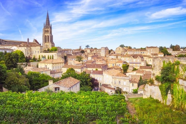 Saint-Emilion 2CV Wine Tour and Lunch from Bordeaux — Classic Car Vineyard Escape photo 6