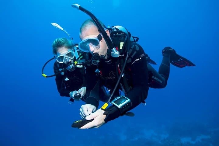 Advanced Open Water Course in Auckland: Deep, Drift & Wreck Diving photo 6