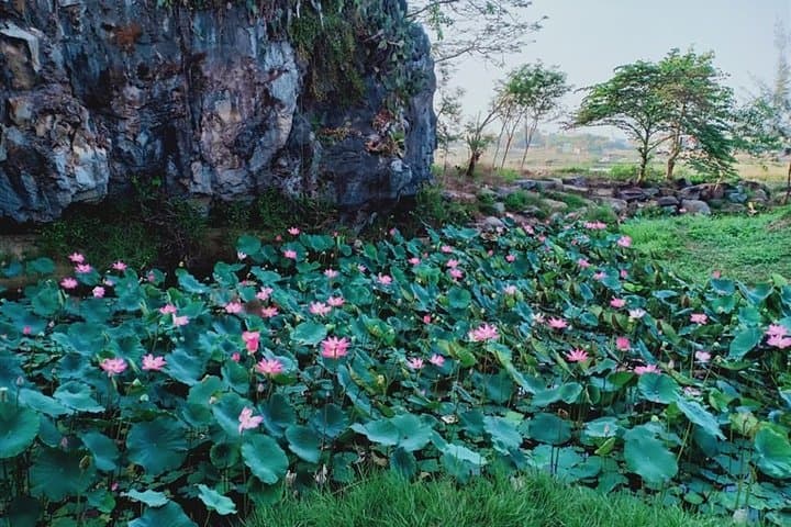 Afternoon Marble Mountains & Son Tra (Monkey Mountain) Panorama Tour — Da Nang photo 5