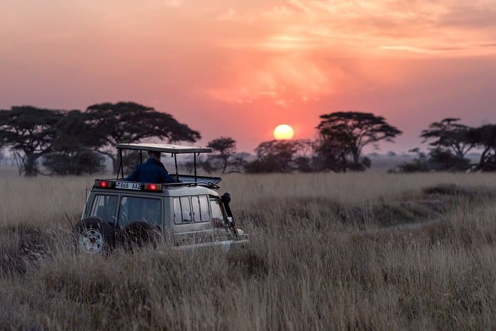 Aquila Big 5 Safari from Cape Town: Full-Day Game Drive to See Africa’s Iconic Wildlife photo 2